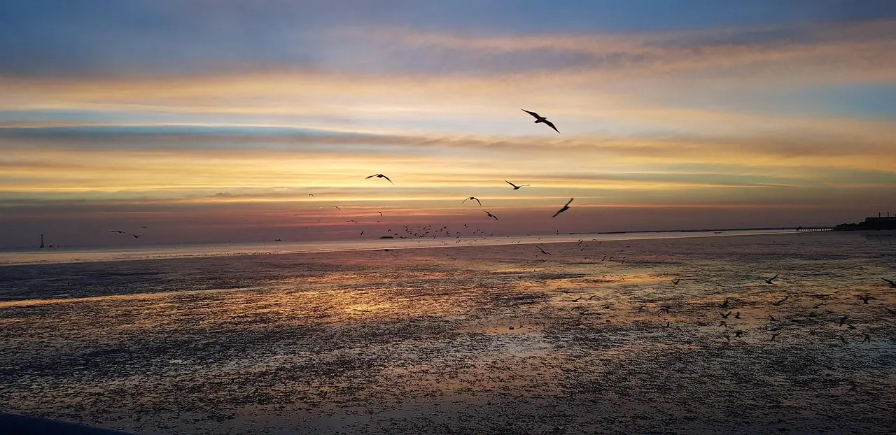 The Andaman Sea at first light